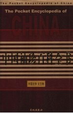 中国袖珍百科全书  外国文学、文艺卷