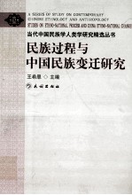 民族过程与中国民族变迁研究