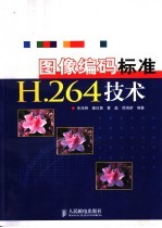 图像编码标准H.264技术