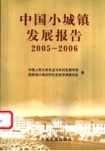 中国小城镇发展报告  2005-2006