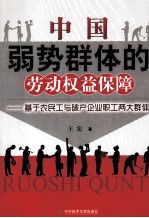 中国弱势群体的劳动权益保障  基于农民工与破产企业职工两大群体