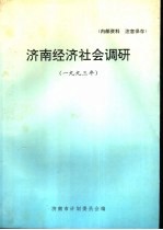 济南经济社会调研  1993年