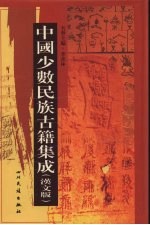 中国少数民族古籍集成  汉文版  第11册  总类