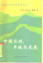 中国农村：开放与发展