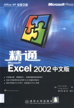 精通Microsoft Excel 2002中文版