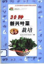 30种新兴叶菜栽培