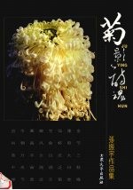 菊影诗魂  孙振宇作品集