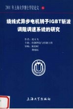 绕线式异步电机转子IGBT斩波调阻调速系统的研究