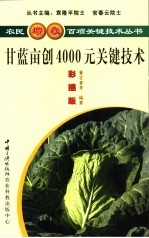 甘蓝亩产4000元关键技术  彩插版