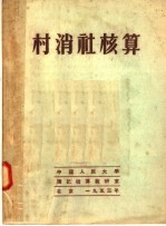 村消社核算