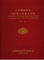 山东省德州市2000年人口普查资料  下