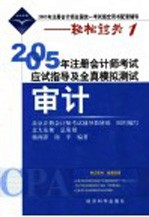 2005年注册会计师考试应试指导及全真模拟测试  审计