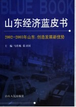 山东经济蓝皮书  2002-2003年山东：创造发展新优势