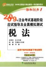 2009年注会考试基础阶段应试指导及全真模拟测试  税法