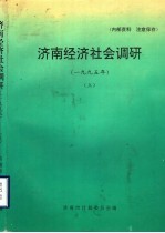 济南经济社会调研  1995年  上