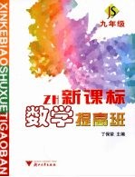 新课标数学提高班  九年级