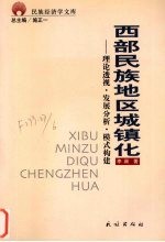 西部民族地区城镇化  理论透视·发展分析·模式构建