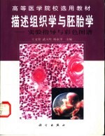 描述组织学与胚胎学  实验指导与彩色图谱