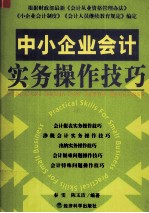 中小企业会计实务操作技巧