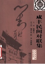 咸丰民间对联集