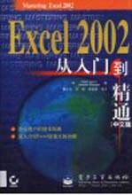 Excel 2002从入门到精通