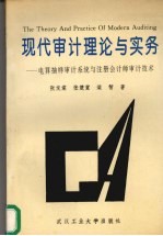 现代审计理论与实务  电算抽样审计系统与注册会计师审计技术