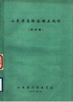 山东半岛综合国土规划  待审稿