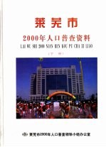 莱芜市2000年人口普查资料  下