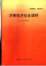 济南经济社会调研  1994年  上