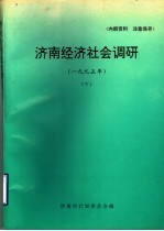 济南经济社会调研  1995年  下