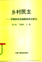 乡村民主  中国农村自治组织形式研究