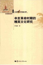 辛亥革命百年纪念文库  辛亥革命时期的精英文化研究