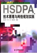 HSDPA技术原理与网络规划实践