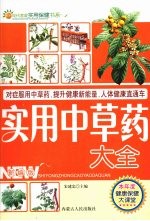 实用中草药大全  新编版