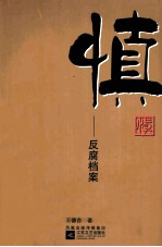 慎-反腐档案