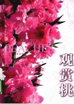 观赏桃花