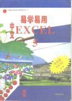 易学易用中文Excel 5.0