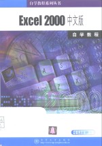 Excel 2000中文版自学教程