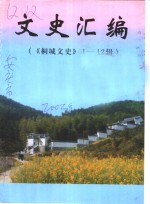 文史汇编  《桐城文史》  1-12辑