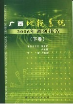 广西地税系统2006年调研报告  下