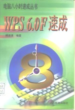 WPS6.0F速成