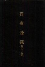 亚洲民族考古丛刊  第四辑  西南边疆  第12期