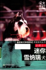 小勇士  迷你雪纳瑞犬