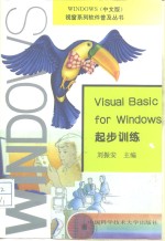 Visual Basic for Windows起步训练