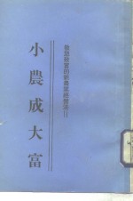 小农成大富  第1集