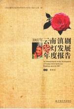 2007年云南滇剧花灯发展年度报告