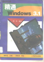 精通Windows 3.1