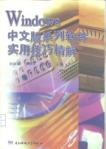 Windows中文版系列软件实用技巧精解