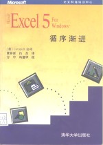 Microsoft Excel 5 for Windows 循序渐进