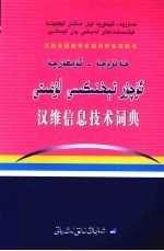 汉维信息技术词典